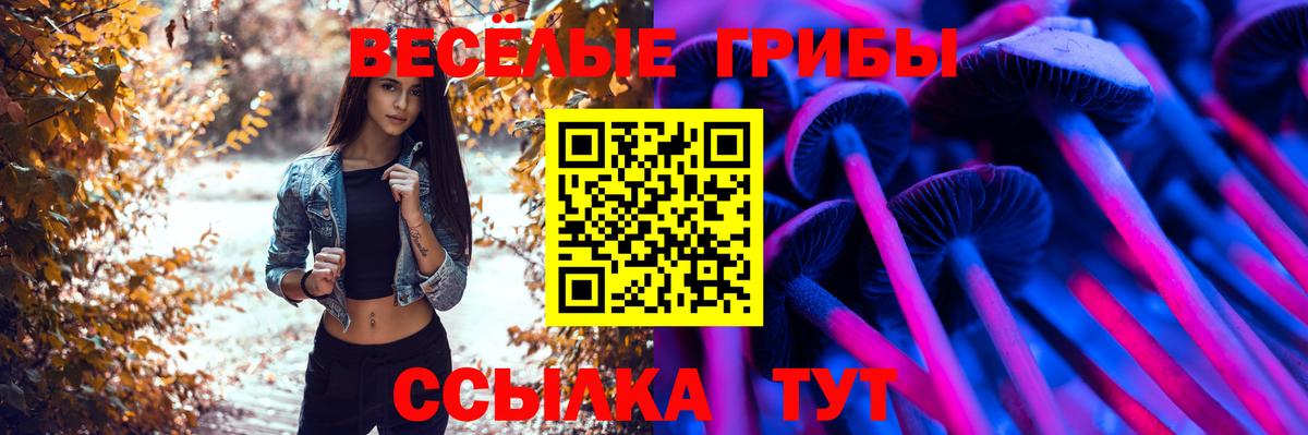 Рузаевка  Галлюциногенные грибы мухоморы  Псилоцибиновые грибы мицелий  Вход с VPN 